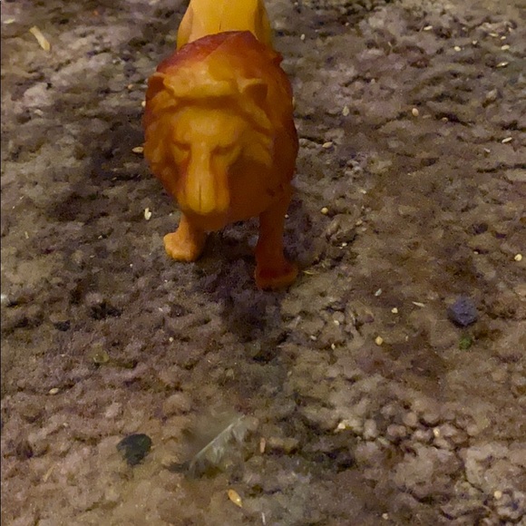 Tiger figuring. - Picture 4 of 9